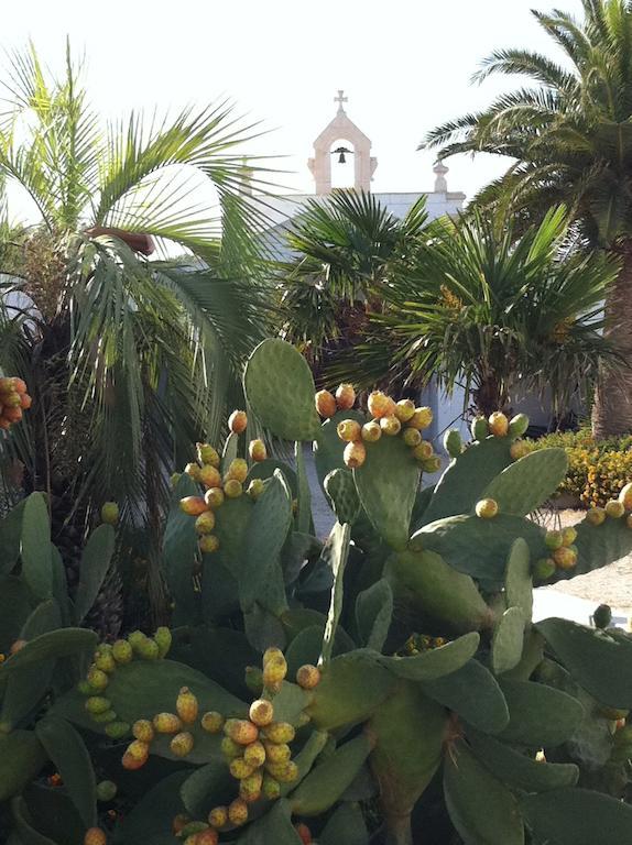 Masseria Torremossa Fasano Exteriör bild
